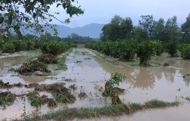 Для местных жителей Аданы нежданный подарок