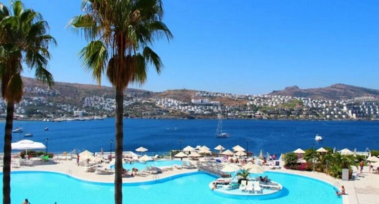 Эксперты считают открытие Турции преждевременным