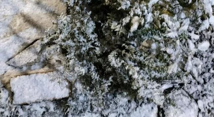 А тем временем в Бразилии выпал снег