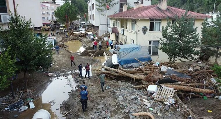 Вот к чему привело глобальное изменение климата