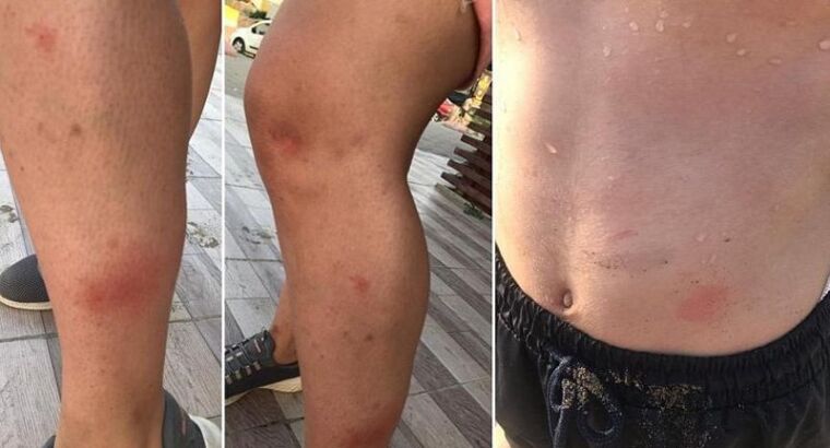 Тут лучше не плавать