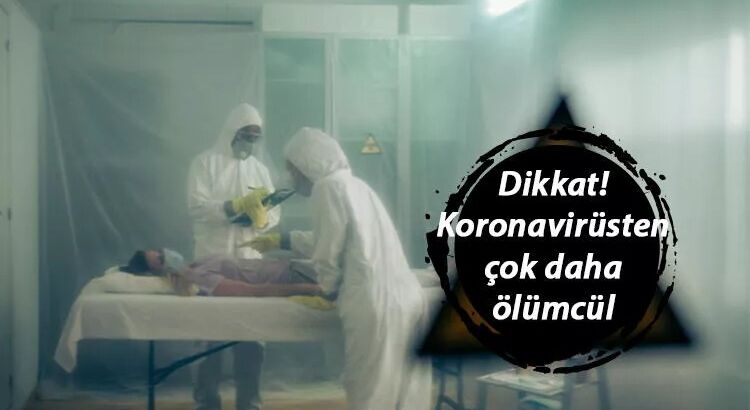 Новая эпидемия?