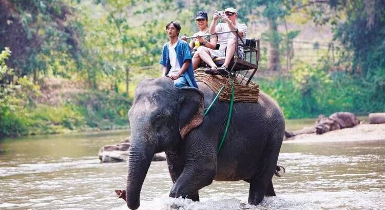 Интересные законы в Шри-Ланке