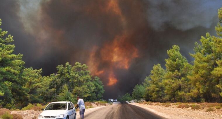 Власти Турции сообщили о победе над лесными пожарами