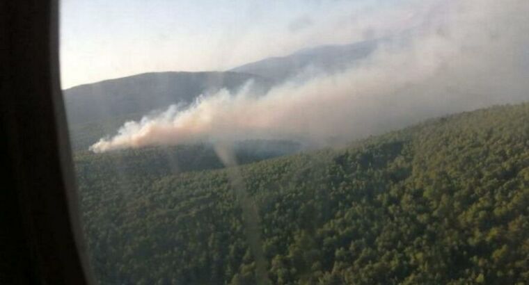 В Чешме в Измире вспыхнул лесной пожар