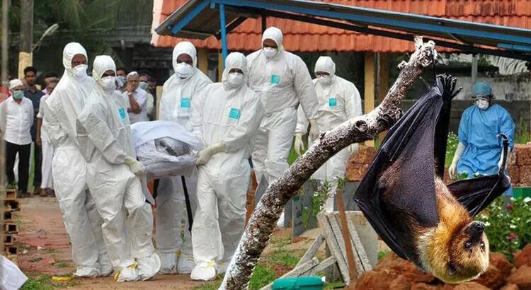 Новая эпидемия