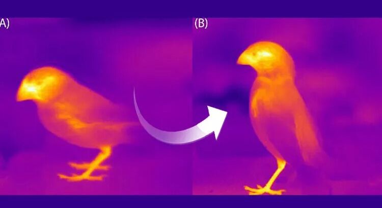 Это уже не шутки