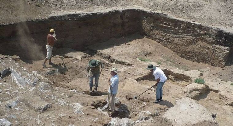Самая старая в мире мозаика обнаружена археологами в Турции