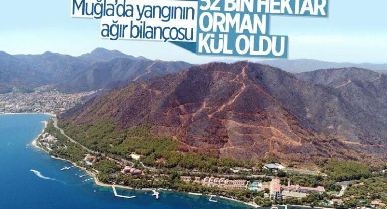 Что стало с выжженными территориями в Мугле?