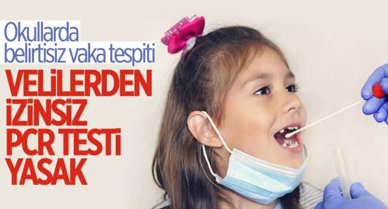 Проведение ПЦР-тестов в школах