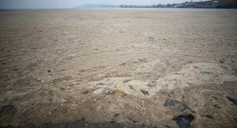 Предупреждение для Средиземного моря