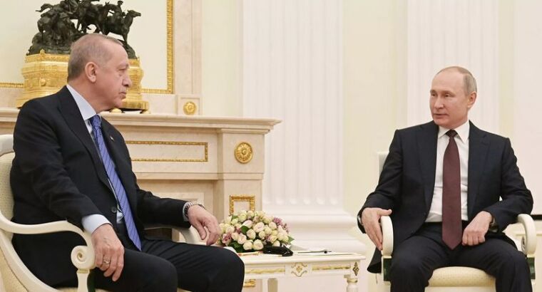 Эрдоган выразил надежду на “важные решения” на переговорах с Путиным в Сочи