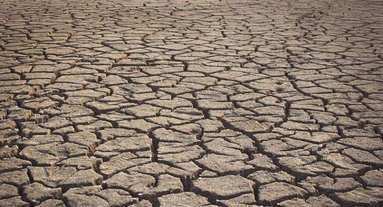 В Турецкой провинции Конья из-за засухи полностью исчезло крупное озеро