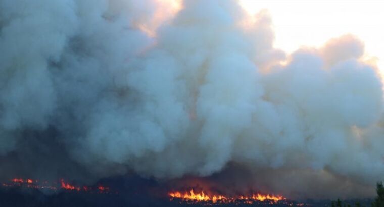 После стихийных бедствий в Турции было собрано около 1 млрд лир пожертвований