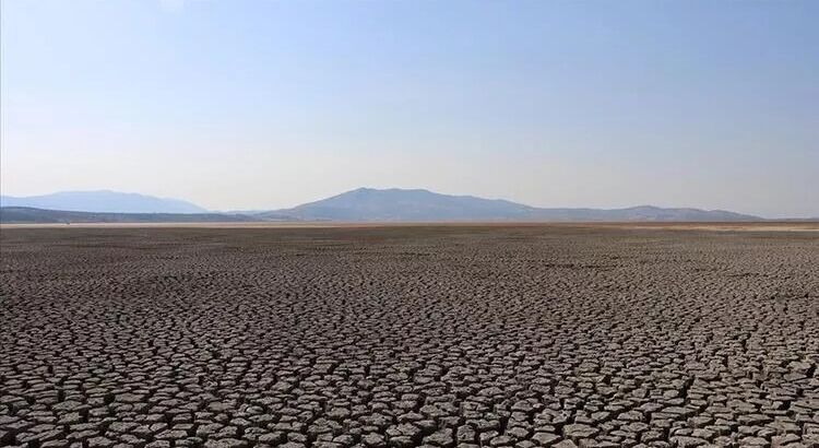 Новое решение от Google