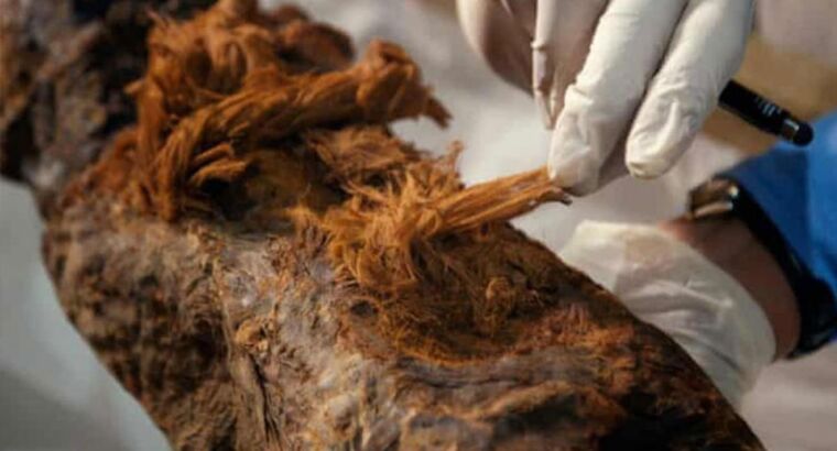 Это открытие не даёт спать учёным по ночам