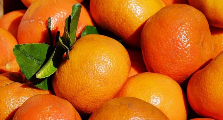 Мандарины были отправлены назад в Турцию из России