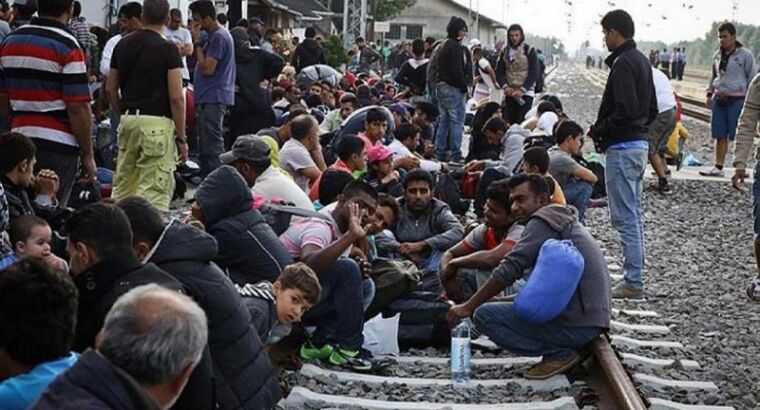 Последние данные об иммигрантах в Турции