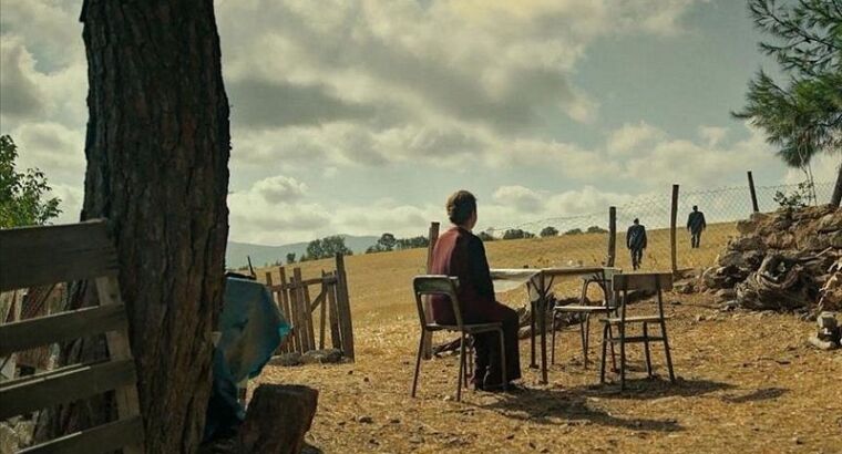 Фильм турецкого режиссера номинирован на Оскар