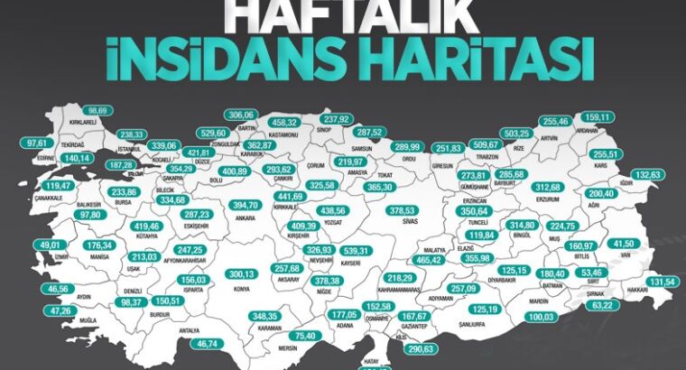 В этих провинциях Турции было установлено самое высокое количество случаев заболевания Ковид-19 на душу населения