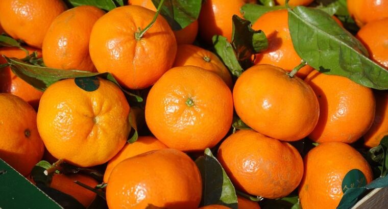 ЕС отказался от нескольких партий фруктов из Турции из-за вредных остатков пестицидов