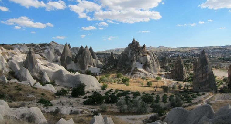 Турция заняла 42-е место среди 60 стран в Индексе эффективности изменения климата