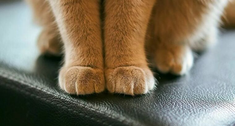 Человек с большой буквы