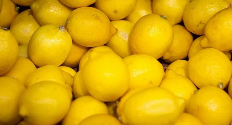 Роспотребнадзор приостановил импорт лимонов одного из турецких предприятий