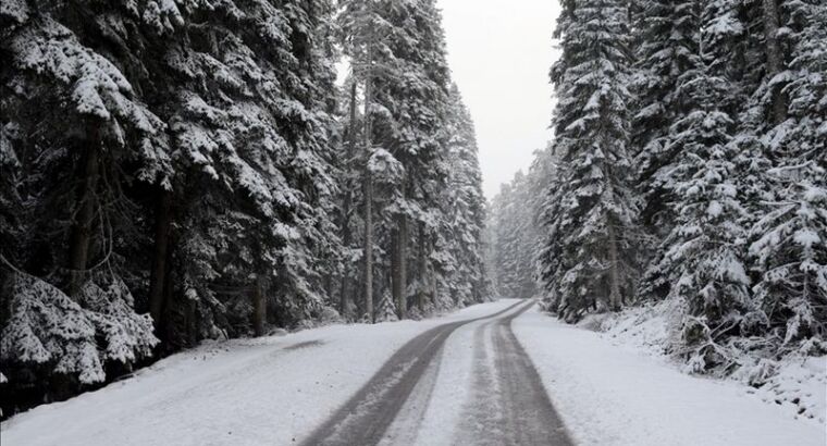 На курорте «Карталкая» в турецкой Болу выпал снег