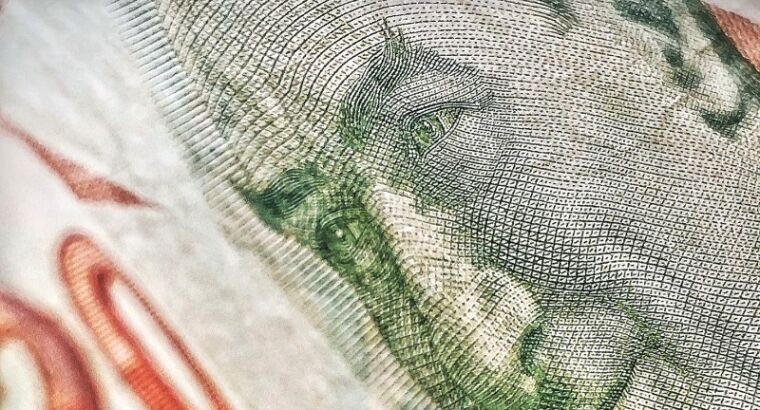 Вице-президент Турции: Подорожание иностранной валюты носит временный характер