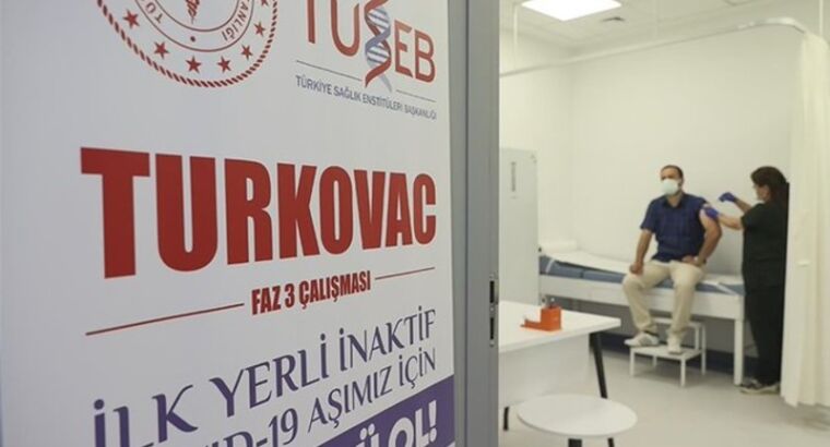 Эксперт: Турецкая вакцина эффективна от COVID-19