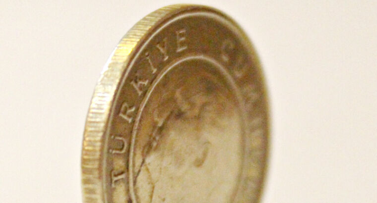 Годовая инфляция в Турции в ноябре выросла до 21,31%