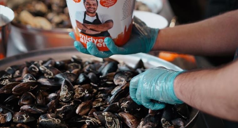 Турецкие мидии становятся брендом в Персидских странах