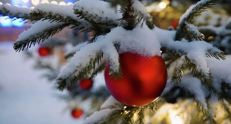 Куда едут россияне на Новый Год?