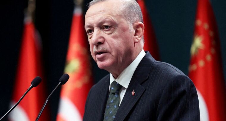 Эрдоган назвал Турцию восходящей звездой XXI века
