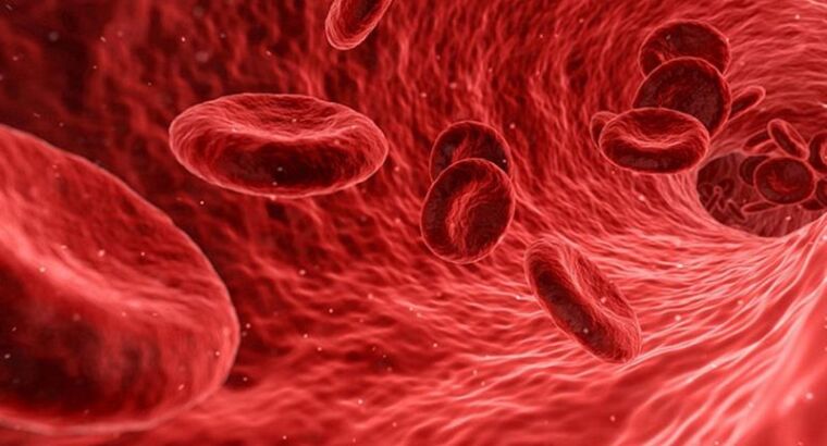 Ученые исследовали обратное старение крови