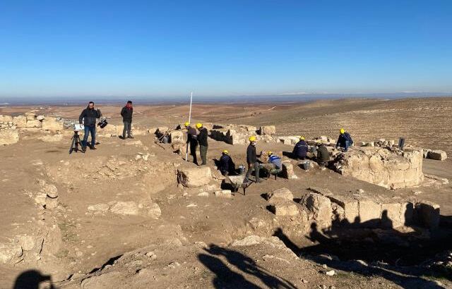 Интересные находки