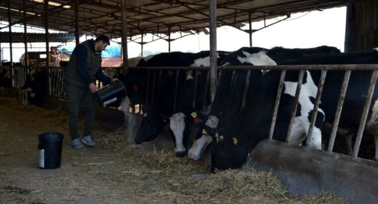 Цена на молоко может быть сильно увеличена