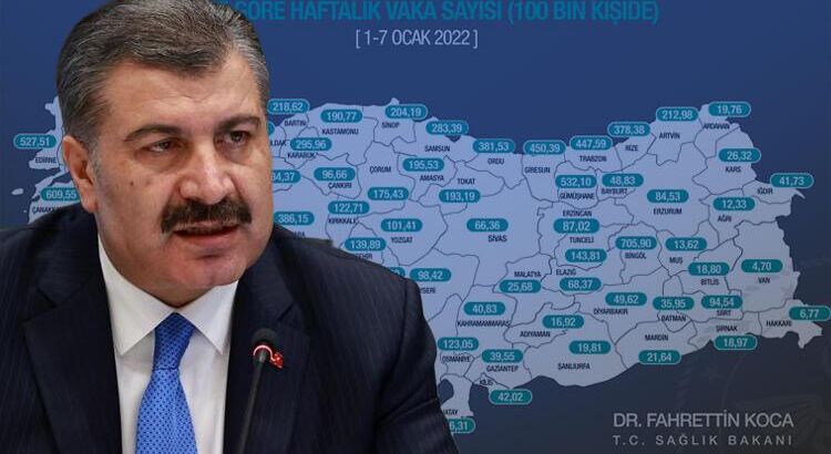 Последние данные по ситуации с Ковид-19