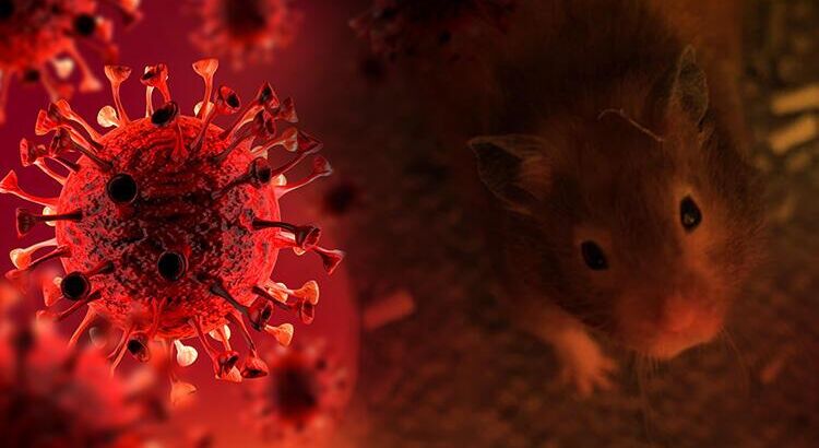 Угроза новой эпидемии