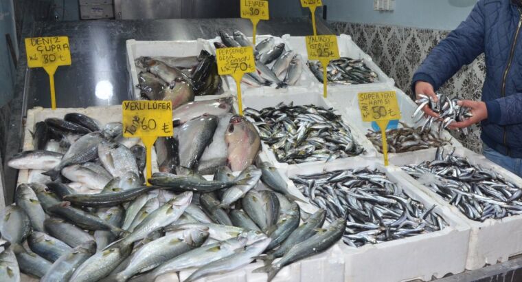 Хамси за 50 лир