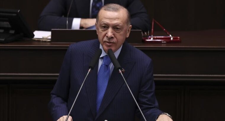 Президент Турции: Правительство в июле вновь проанализирует показатели инфляции