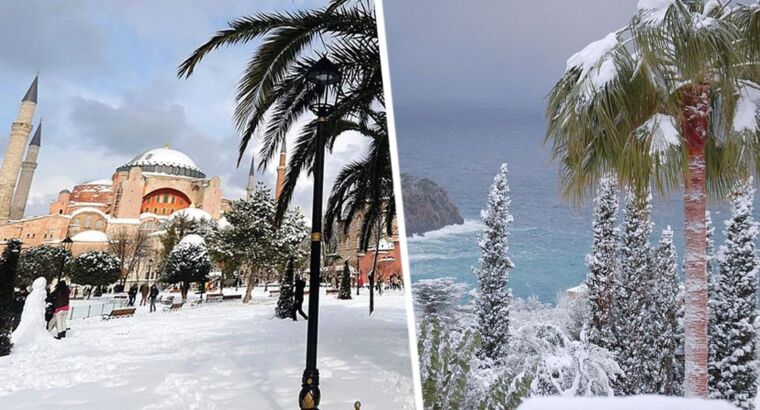 В Анталии ударили крещенские морозы: на курорте апельсины и лимоны покрылись льдом