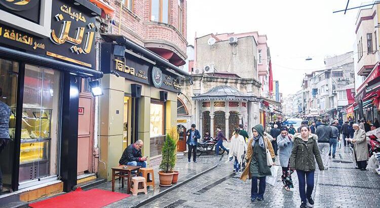 Стратегия МВД Турции по вопросу сирийских беженцев