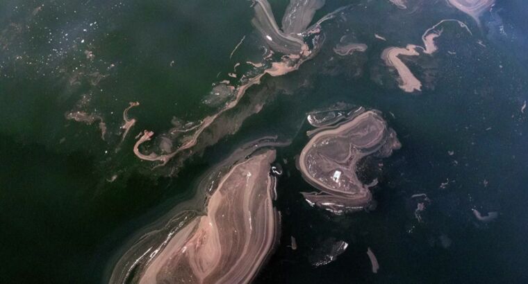 И снова эта морская слизь