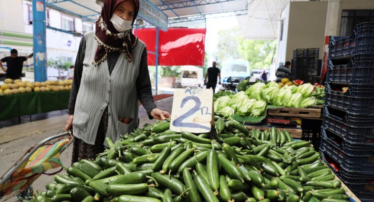 С потеплением погоды цены на сезонные овощи снизились