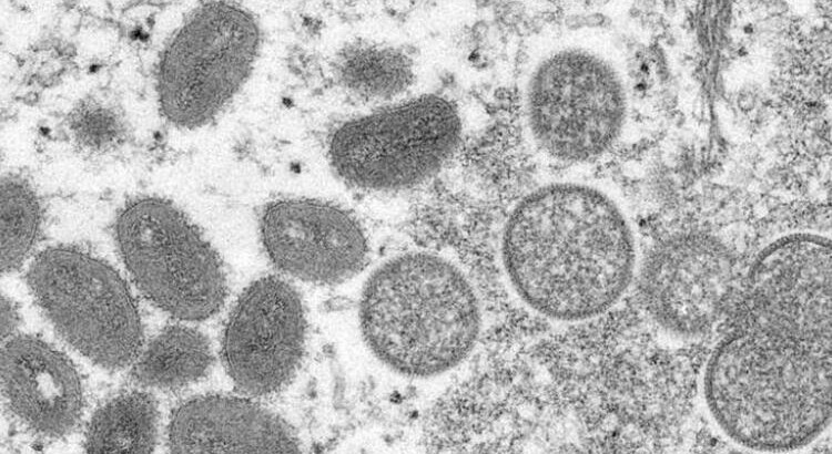 Это уже серьезно