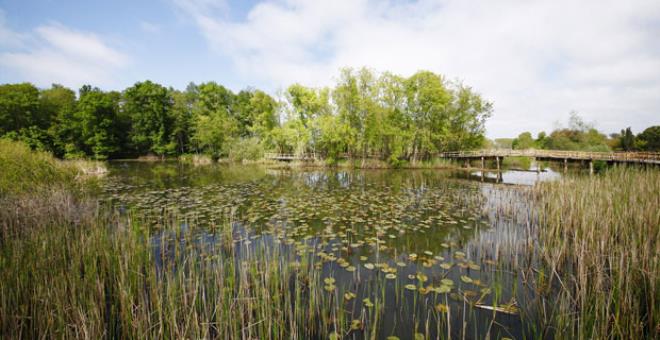 Еще одно потрясающее место для посещения