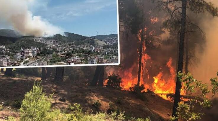 В Турции начались лесные пожары