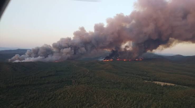 В Мармарисе вспыхнул лесной пожар
